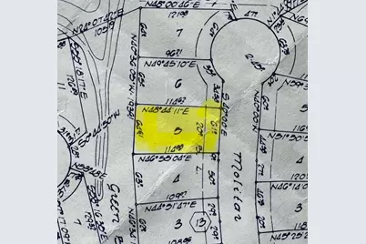 Tbd005 Molitar, Trinity, TX 75862 - Photo 1