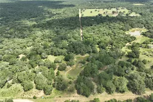 1312 Private Rd 1051, Hallettsville, TX 77964 - Photo 14