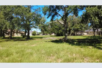 Lot 65 Birdie A/K/A 225 Birdie Drive, Hempstead, TX 77445 - Photo 1