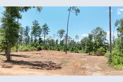 Tbd Reveille Road, Livingston, TX 77351 - Photo 2
