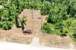 Tbd Reveille Rd, Livingston, TX 77351 - Photo 1