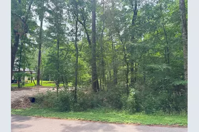 77 S Pine Harbour Drive, Coldspring, TX 77331 - Photo 4