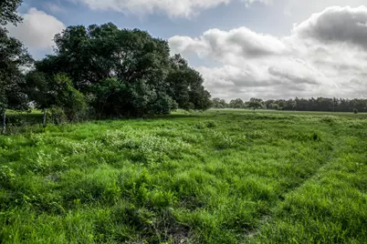 Tract 6 S Nassau Road, Round Top, TX 78954 - Photo 12