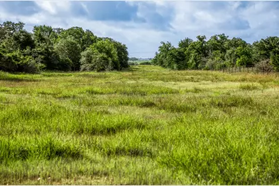Tract 6 S Nassau Road, Round Top, TX 78954 - Photo 18