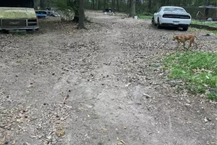 21072 Patricia Ln, New Caney, TX 77357 - Photo 2