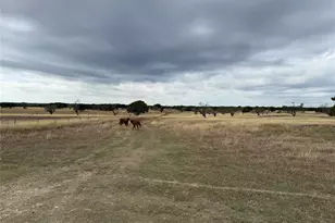 126 Acres County Road 204, Burnet, TX 78611 - Photo 6