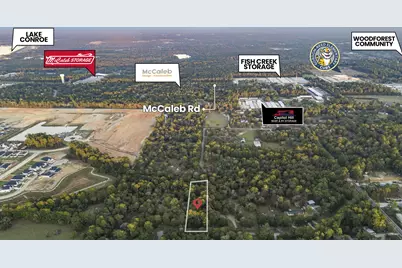 7349 Washington Avenue, Montgomery, TX 77316 - Photo 10