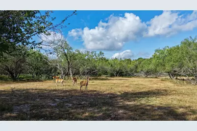 Tract 3 Tbd Mensik Rd, Bryan, TX 77808 - Photo 4