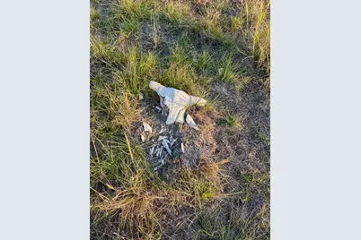 5895 Farek-Loth Road, Schulenburg, TX 78956 - Photo 14