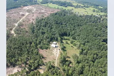 292 Bill Stickley Road, Zavalla, TX 75980 - Photo 26