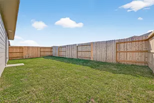 26923 Dalmatian Bellflower Dr, Katy, TX 77493 - Photo 48