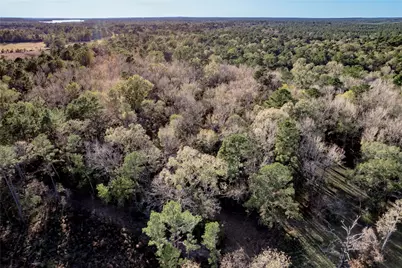 438 Cody, Groveton, TX 75845 - Photo 12