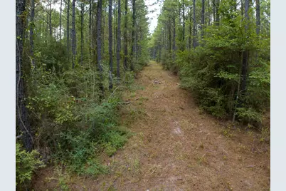 8330 Fm 355, Trinity, TX 75862 - Photo 10