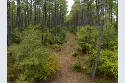 8330 Fm 355, Trinity, TX 75862 - Photo 8