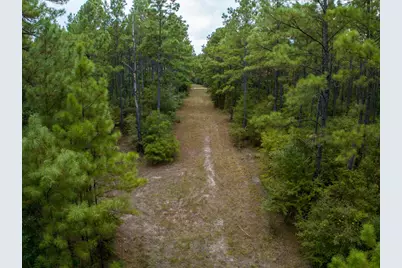 8330 Fm 355, Trinity, TX 75862 - Photo 6