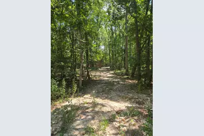 9 Bridges Road, Corrigan, TX 75939 - Photo 12
