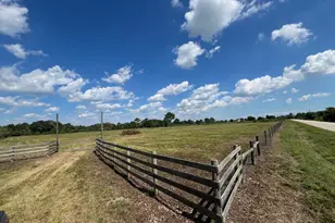 7782 County Rd 203, Liverpool, TX 77577 - Photo 1