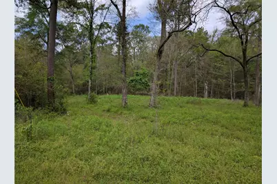 50G Jock Street, Livingston, TX 77351 - Photo 1