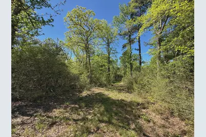 10 Ac Cr 2926, Buffalo, TX 75831 - Photo 10