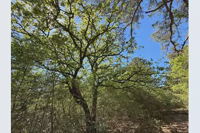 10 Ac Cr 2926, Buffalo, TX 75831 - Photo 6