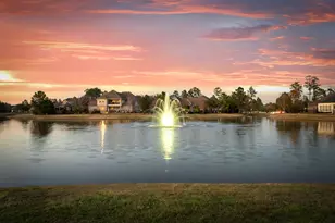 15 Cayuga Pond Ct, Spring, TX 77389 - Photo 40