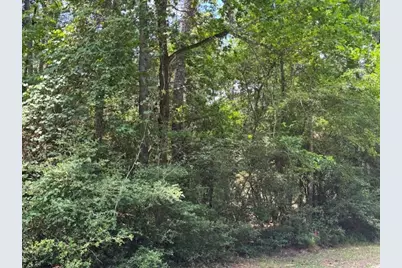 Tbd04 Doral, Trinity, TX 75862 - Photo 4