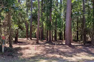 Tbd04 Doral, Trinity, TX 75862 - Photo 1