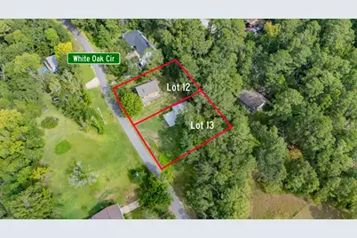 161 White Oak Street, Point Blank, TX 77364 - Photo 2