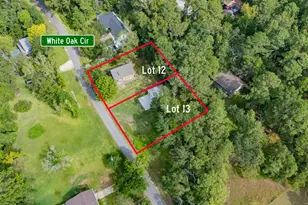 161 White Oak St, Point Blank, TX 77364 - Photo 1