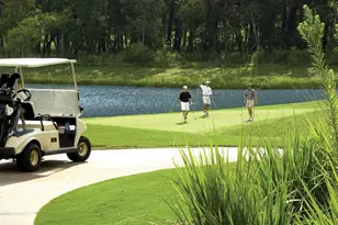 11646 Birdsong Dr, Missouri City, TX 77459 - Photo 8