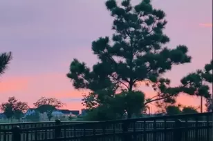 24711 Hibiscus Gdn Wy, Katy, TX 77493 - Photo 26