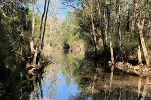 2551 Jurecka Rd, Fayetteville, TX 78940 - Photo 1