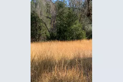 2551 Jurecka Road, Fayetteville, TX 78940 - Photo 4