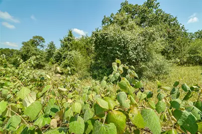 0 County Road 215, Weimar, TX 78962 - Photo 36