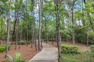 31 Surrey Run Pl, The Woodlands, TX 77384 - Photo 48