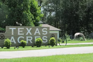 738 W Cattle, Onalaska, TX 77360 - Photo 4