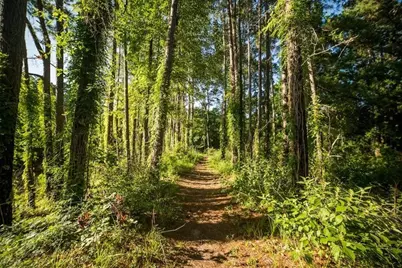 4B-11-8 Sundog Road, Huntsville, TX 77340 - Photo 6