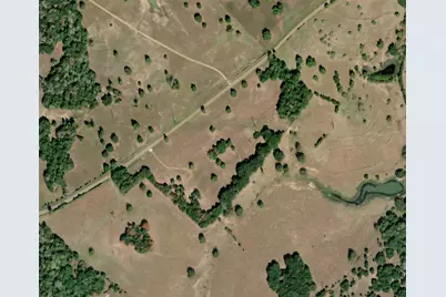 Tbd-6 Greenvine Road, Brenham, TX 77833 - Photo 4