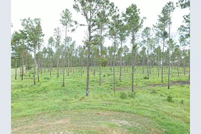 005 Lucky 13 Rd, Livingston, TX 77351 - Photo 10