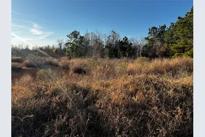 0 Moonshine Hill Road, Houston, TX 77338 - Photo 10