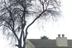 8714 Village Of Fondren Dr, Houston, TX 77071 - Photo 4