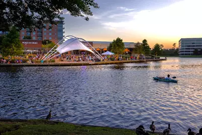 3 Meadow Beauty, The Woodlands, TX 77381 - Photo 32