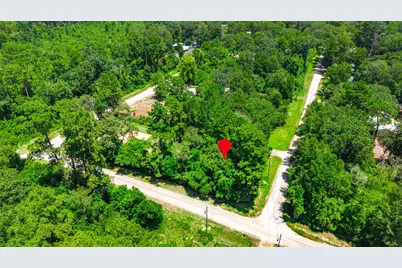 0 Elaine Avenue, Shepherd, TX 77371 - Photo 1