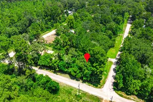 0 Elaine Ave, Shepherd, TX 77371 - Photo 1