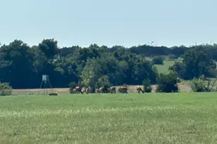 7800 Co Rd 210, Bertram, TX 78605 - Photo 22