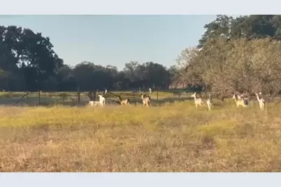 7800 County Road 210, Bertram, TX 78605 - Photo 28