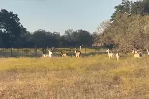 7800 Co Rd 210, Bertram, TX 78605 - Photo 28