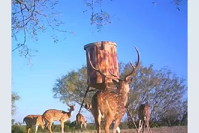 7800 County Road 210, Bertram, TX 78605 - Photo 34