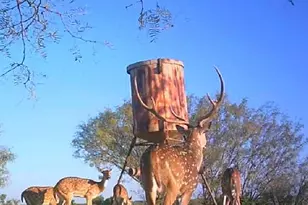 7800 Co Rd 210, Bertram, TX 78605 - Photo 34