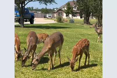 11693 Grandview Drive, Montgomery, TX 77356 - Photo 36